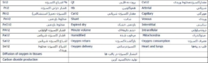 اکسیژن و تاثیر آن بر عملکرد بدن انسان