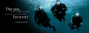 C:\Users\user\Desktop\Apple\Website\موارد نیاز وب سایت\aks daryakav.com\خدمات\انجام پروژه عملیاتی\تجهیزات\quote_cousteau.png